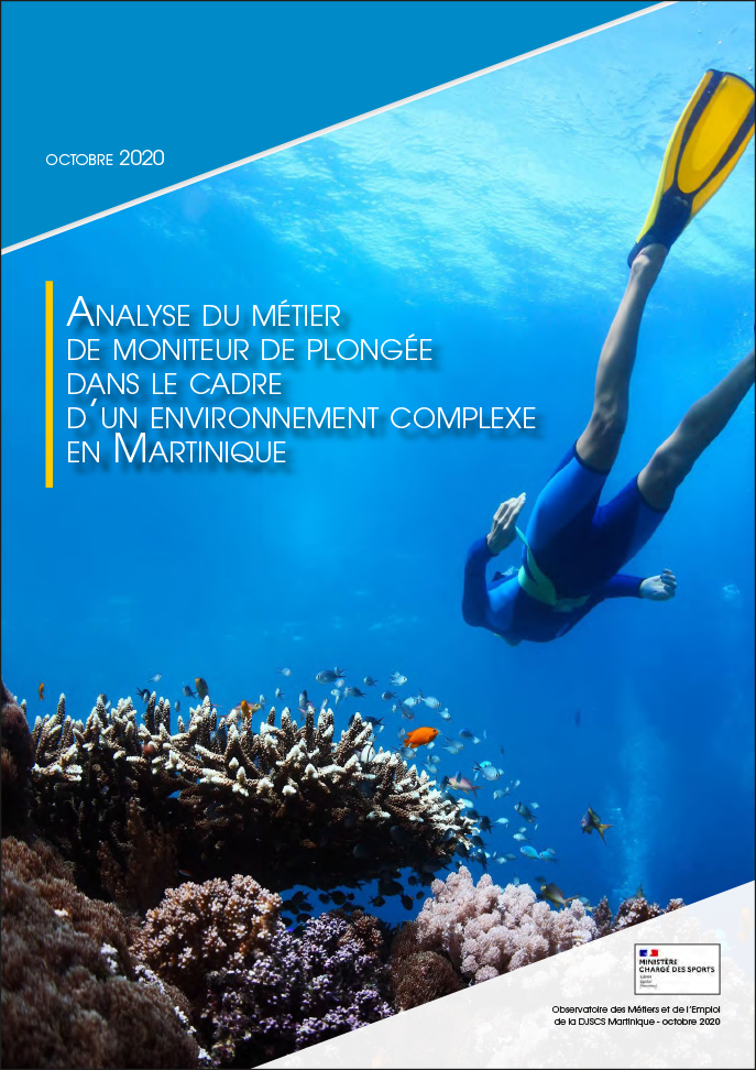 vignette politiqueseducatives