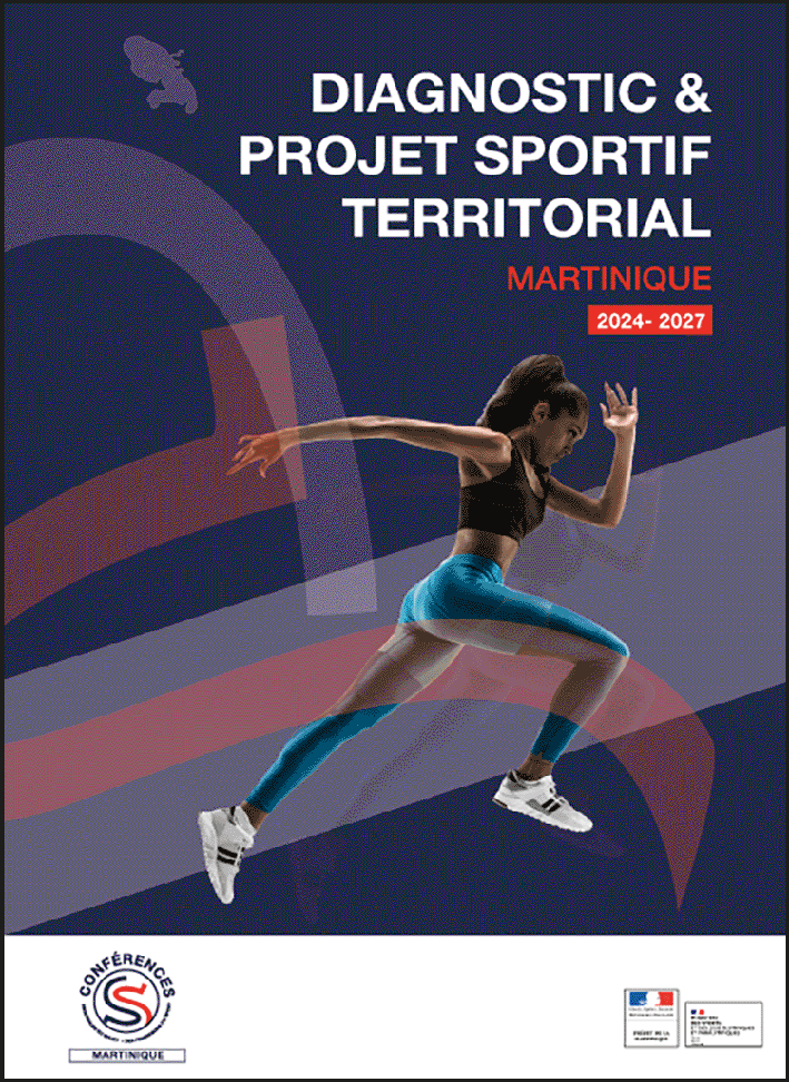 vignette schematerritorial